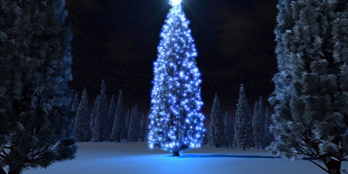 1600x1000 National+geographic+crismas+photos | Christmas Wallpapers