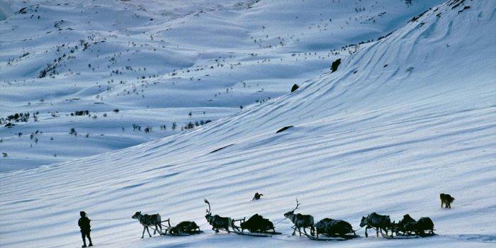 1024x768 Free download National Geographic Wallpapers 050 National