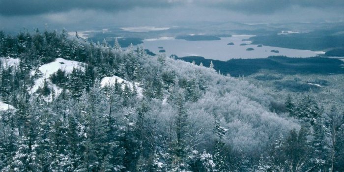 1600x1200 50+] National Geographic Christmas Wallpaper on WallpaperSafari