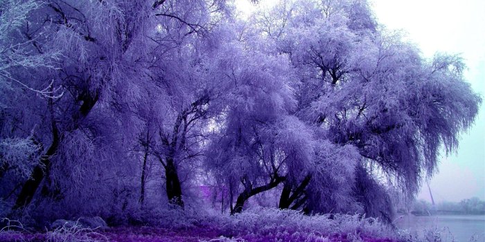 1920x1080 National Geographic Wallpaper Pictures (43+ images)