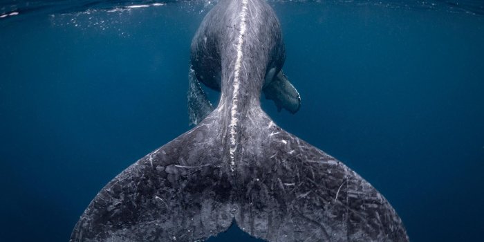 1900x1392 2018 Nat Geo Travel Photographer of the Year Contest Winners