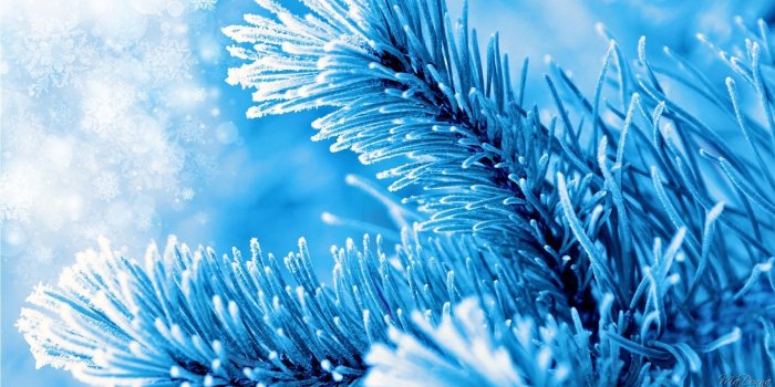 1920x1080 National Geographic Desktop Backgrounds ·① WallpaperTag