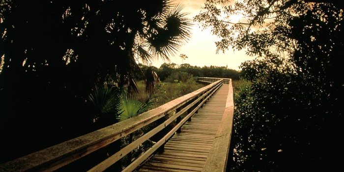 1024x768 Free High-Definition Wallpapers: National Geographic Channel Best