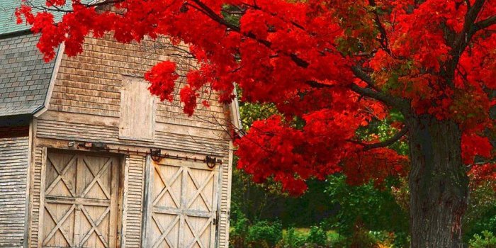 1024x819 Fall-ny-photography-desktop-wallpapers-fall-desktop-backgrounds