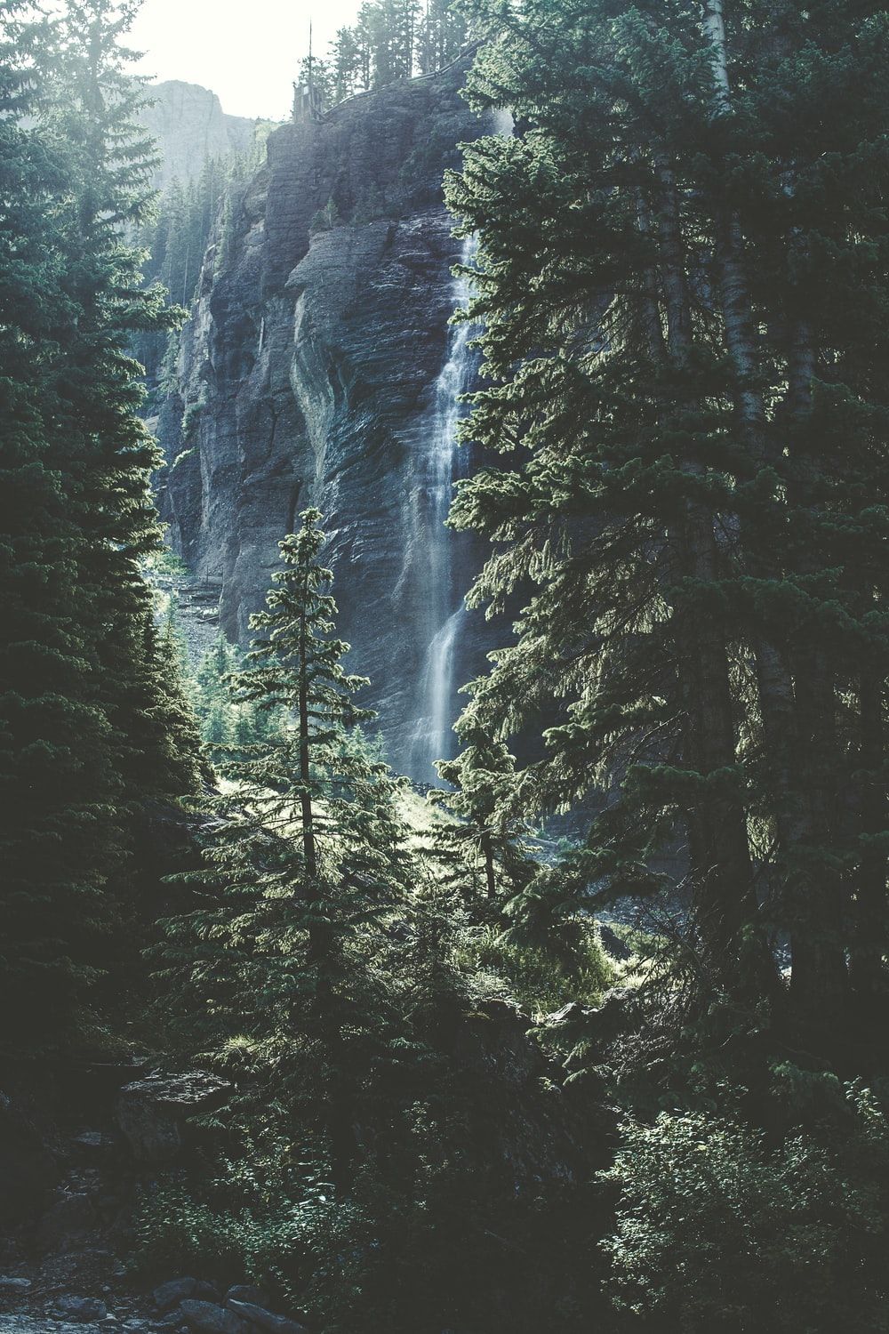 1000x1500 Waterfall In The Forest Pictures | Download Free Images on Unsplash