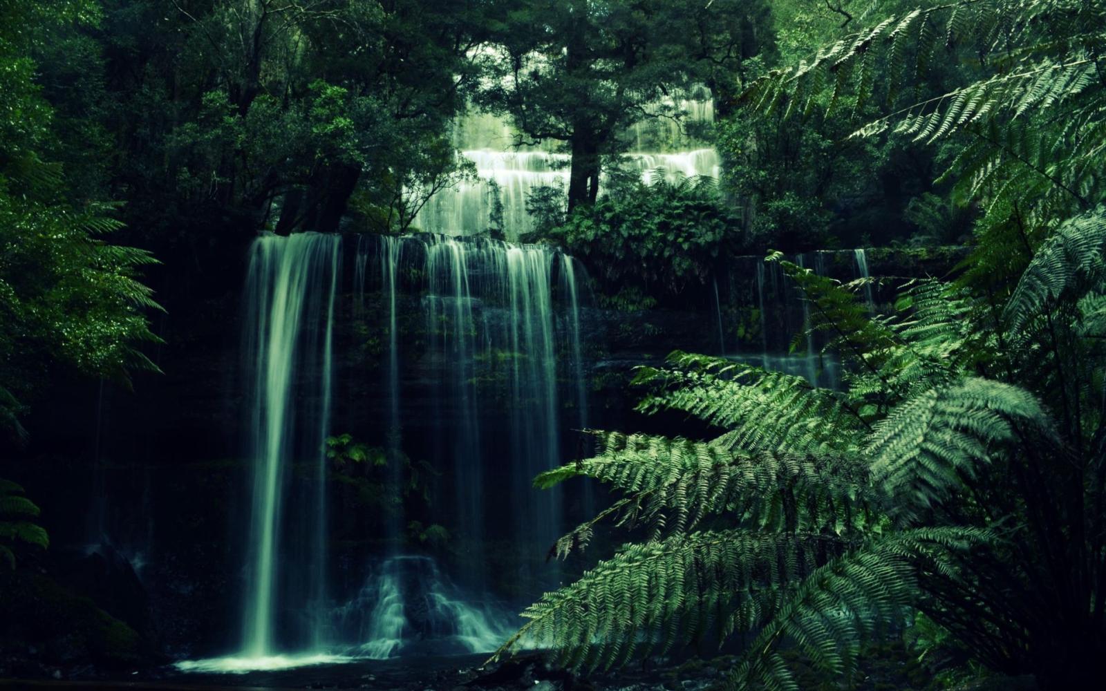 1920x1200 Bamboo Waterfall Wallpapers