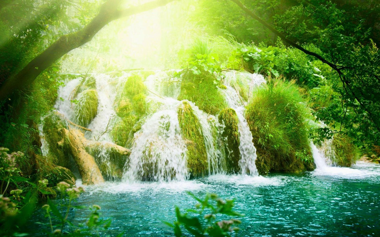 2560x1600 Paradise River Waterfalls Wallpapers - Waterfall In A Forest, Hd