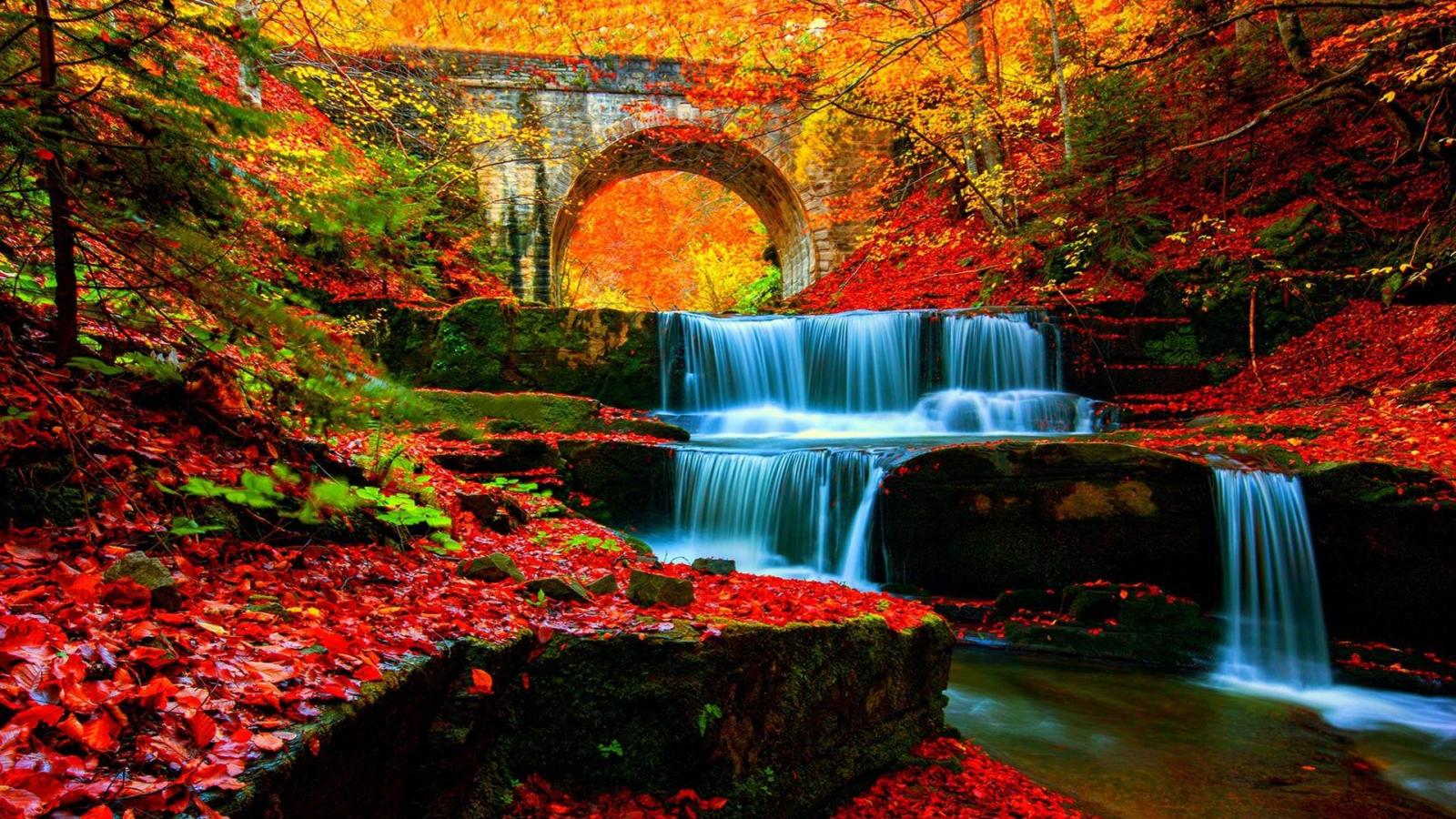 1920x1080 Autumn Waterfall In The Forest Wallpaper - Autumn Waterfall