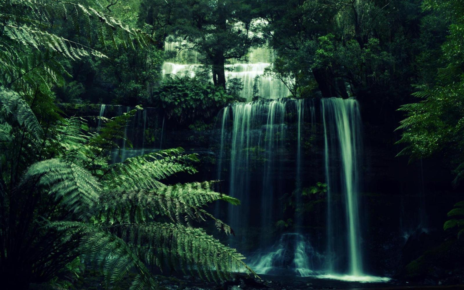 2560x1600 Forest Waterfall Aesthetic (#1895827) - HD Wallpaper & Backgrounds