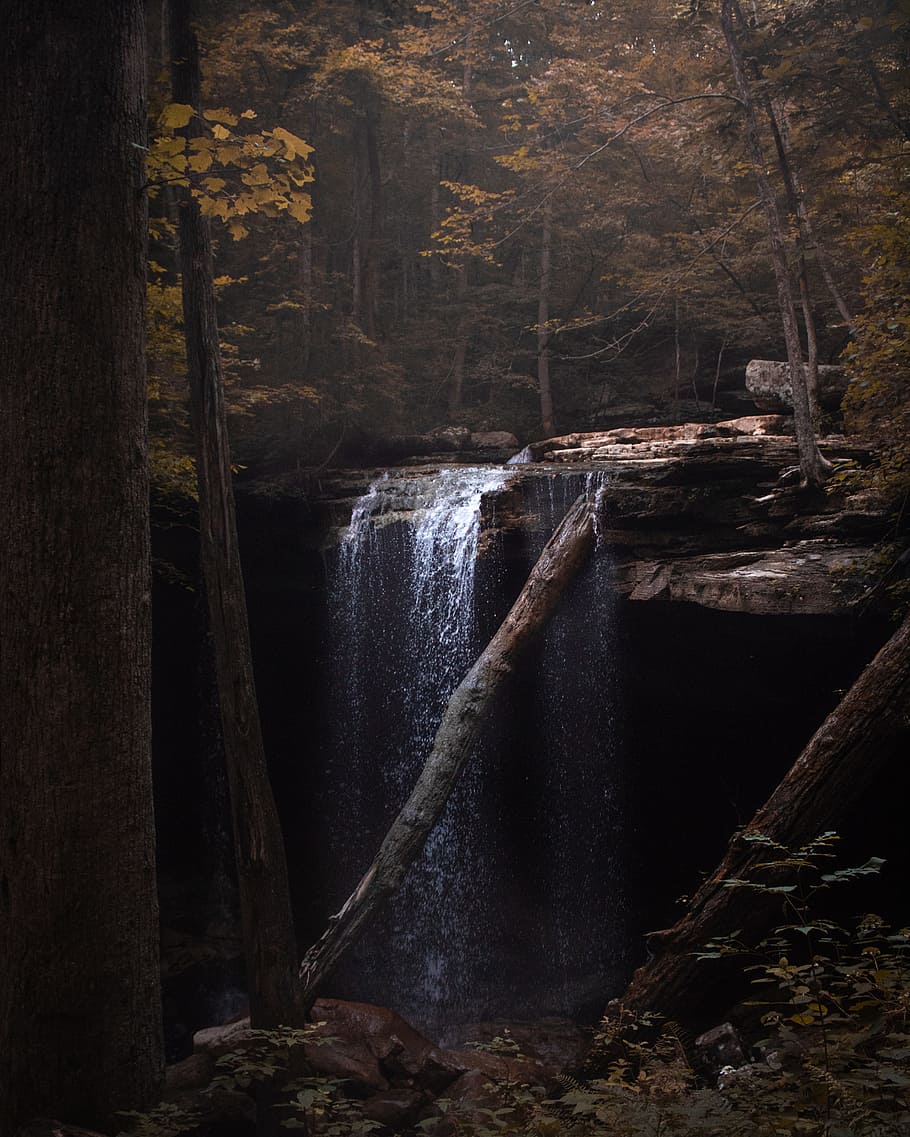 910x1137 HD wallpaper: waterfalls in brown forest, tree, wood, dark, cave