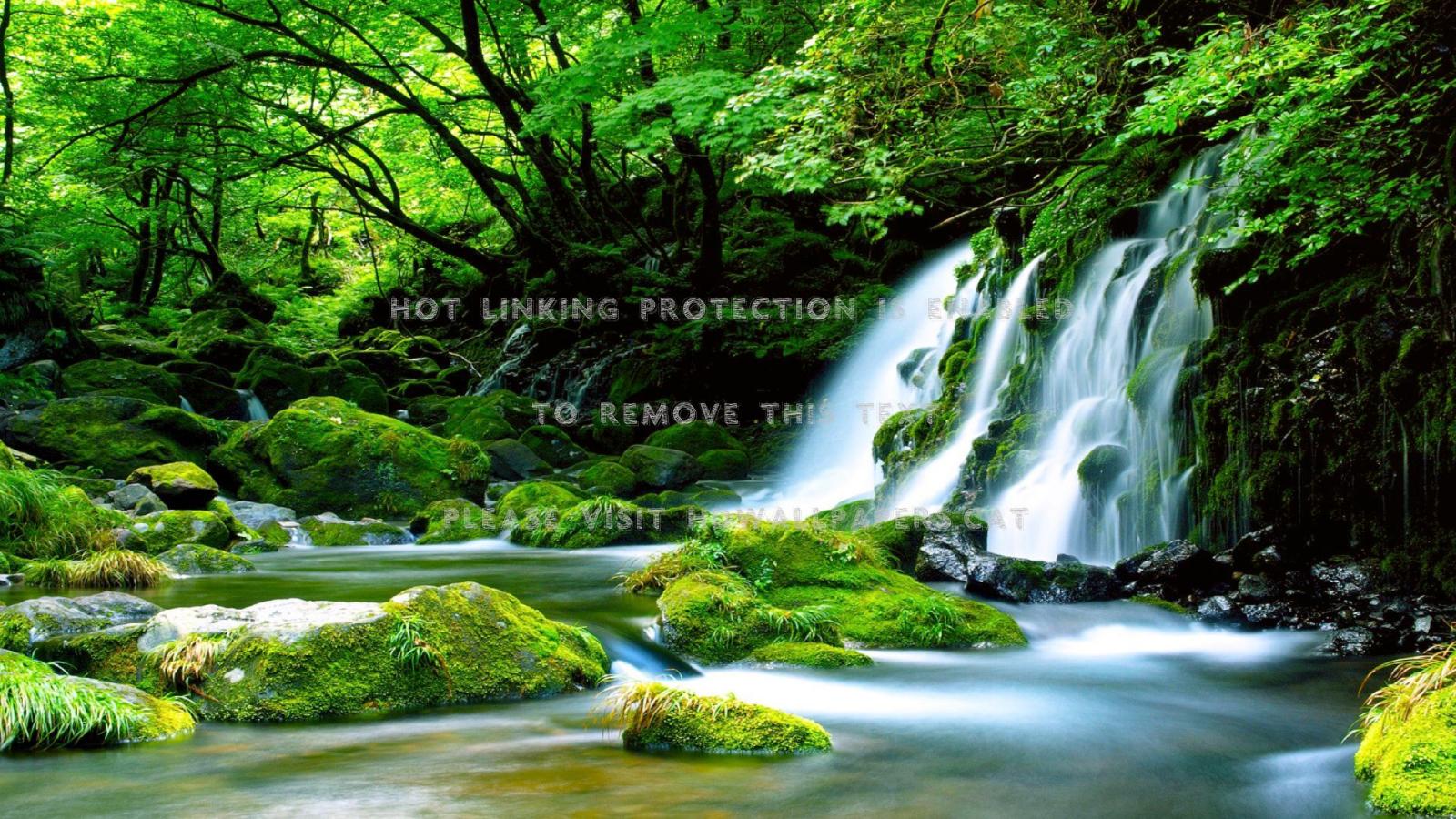 1920x1080 forest waterfall serenity trees nature