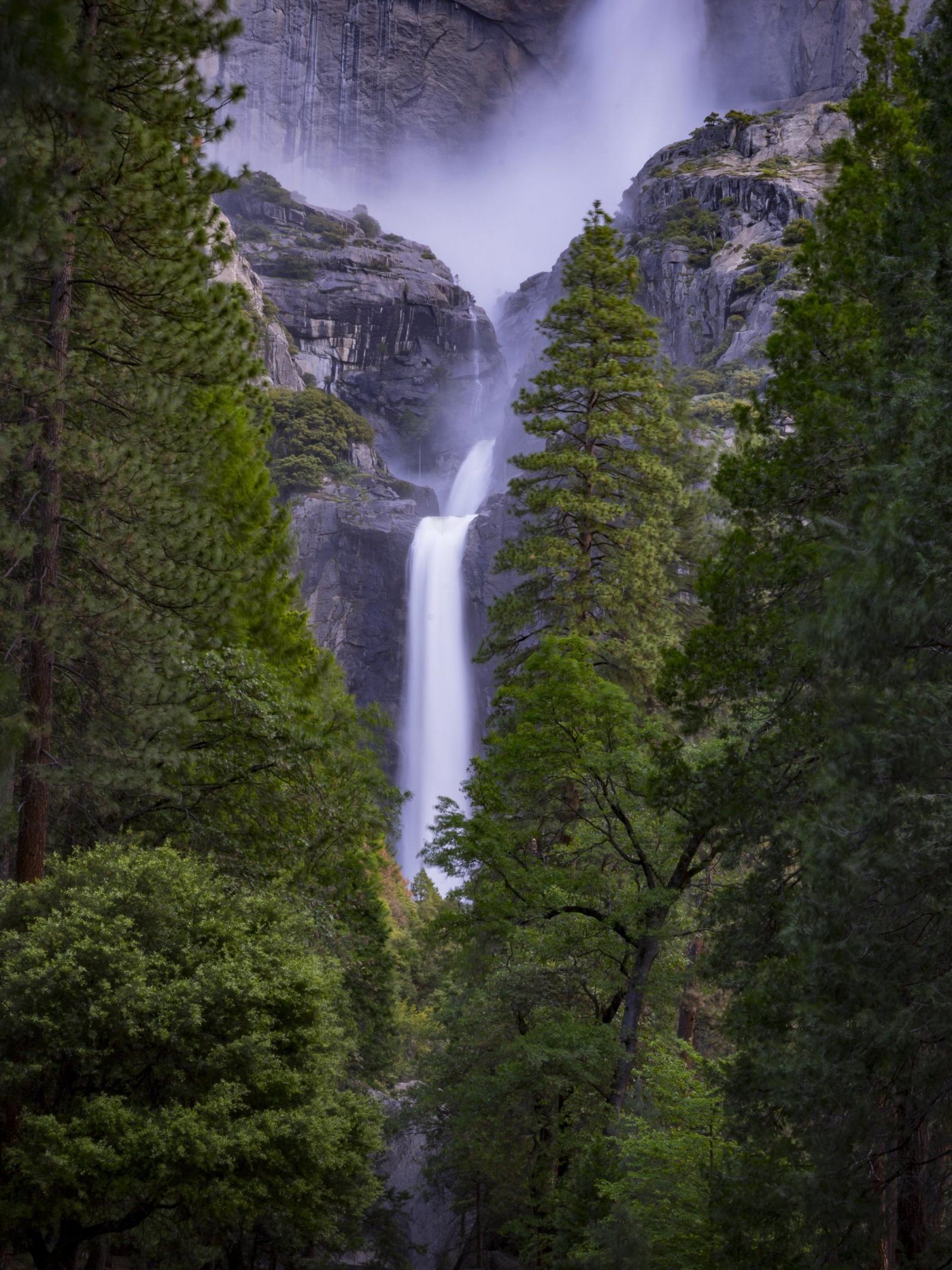 2048x2732 Waterfall In Forest - Forest Waterfall, Hd Wallpapers