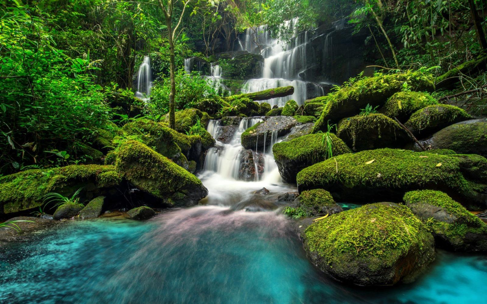 1920x1200 Beautiful Waterfall In Green Forest Wallpaper - High Quality
