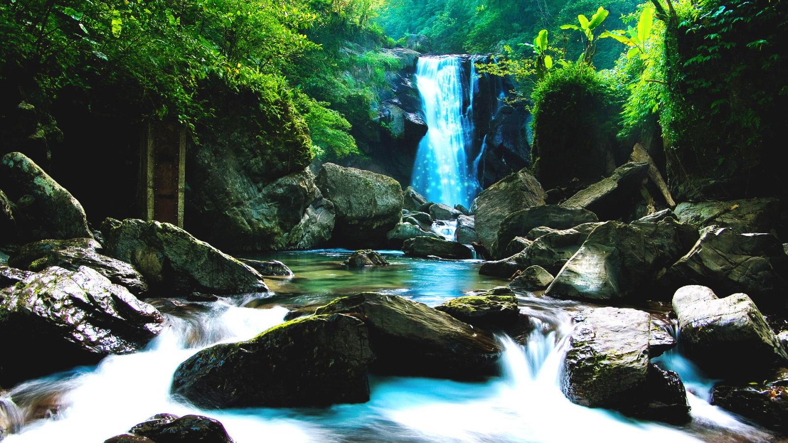 1920x1080 Forest Waterfall Wallpaper ·① WallpaperTag