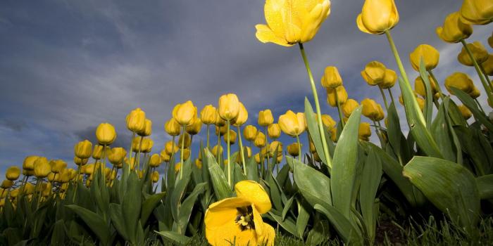 1920x1200 wide desktop backgrounds - wallpapers