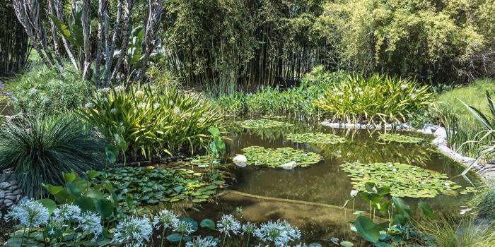 1280x854 Desktop Wallpapers California USA Botanical Gardens in San Marino