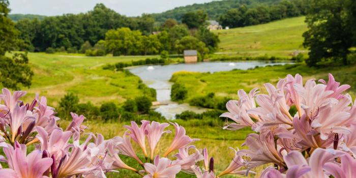 1440x900 Wallpapers | Winterthur Museum, Garden & Library