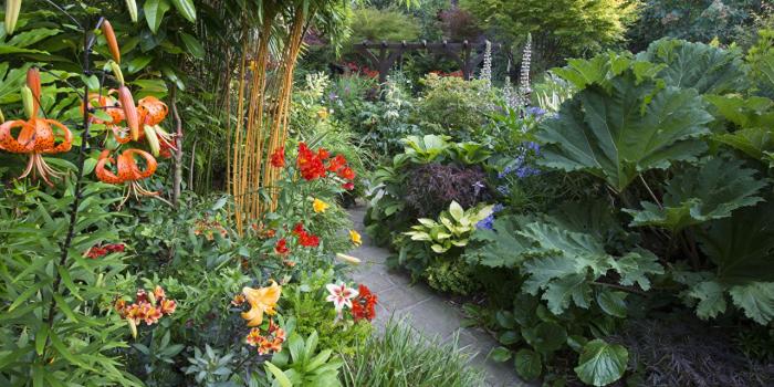 1280x853 Pictures England Walsall Garden Nature Lilies Gardens