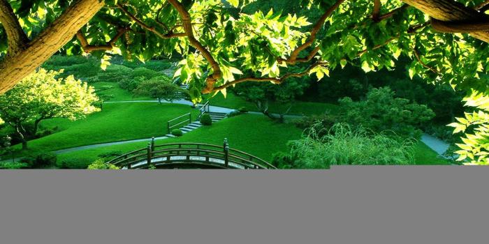 1920x1200 Garden Desktop Wallpaper (64+ pictures)