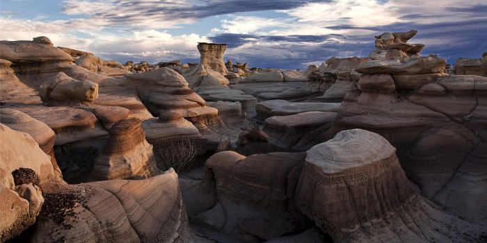 1920x1200 46+] New Mexico Wallpaper on WallpaperSafari