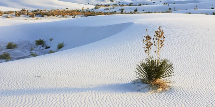 1920x1080 White Sands, New Mexico | White sands new mexico, Mexico wallpaper