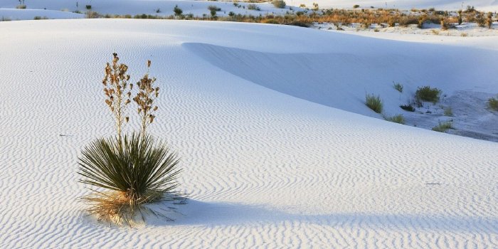 1707x1280 wallpaper desert new mexico – Trente
