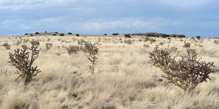 2560x1600 New Mexico Wallpapers-56Z4844.jpg - Picserio.com