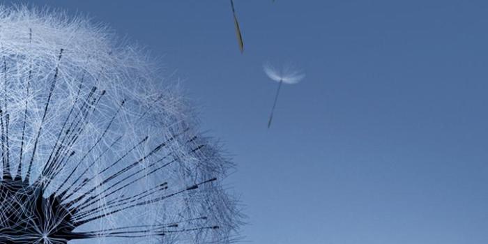 720x1280 Wallpaper for Samsung Note 2, Note 3,Note 7,Note 8 for Android