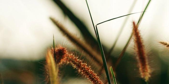 720x1280 Free download for Galaxy note 2 hd wallpaper android wallpapers