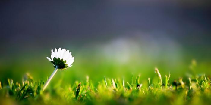 2092x1280 Samsung Galaxy Note 2 Wallpapers • 119 HD Wallpapers