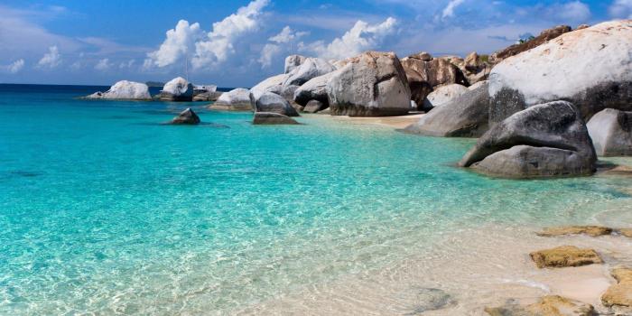 1920x1080 Best 40+ Canary Islands Wallpaper on HipWallpaper | Black Canary