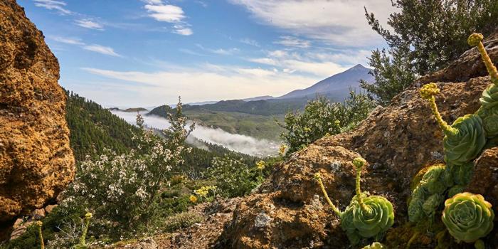 1280x853 Desktop Wallpapers Canary Islands Spain Tenerife Nature Sky
