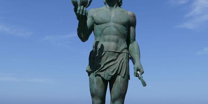 910x1419 HD wallpaper: La, Reptiles, Canary Island, la reptiles, canary