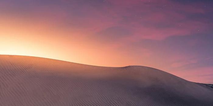 728x1092 HD wallpaper: desert, dunes, sunset, sand, horizon, canary islands