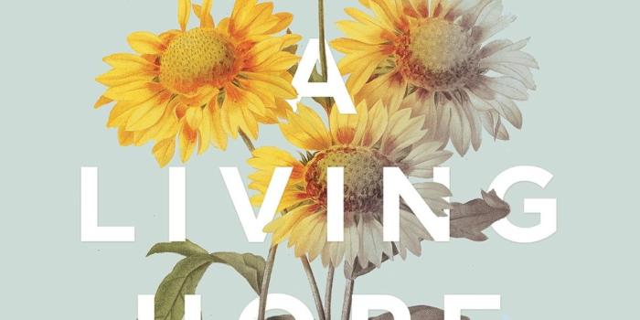 1242x2208 Bible Verse Pictures Wallpaper (58+ images)