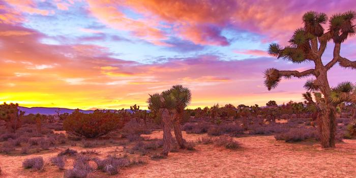 5760x2627 Desert Cactus Wallpapers - Top Free Desert Cactus Backgrounds