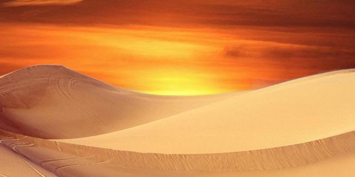 1080x1920 Sunset, sky, dunes, desert Wallpaper | Sunset, Orange sky