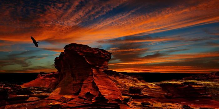 1920x1200 desert, Atacama Desert, Sunset, Rock, Erosion, Birds, Condors
