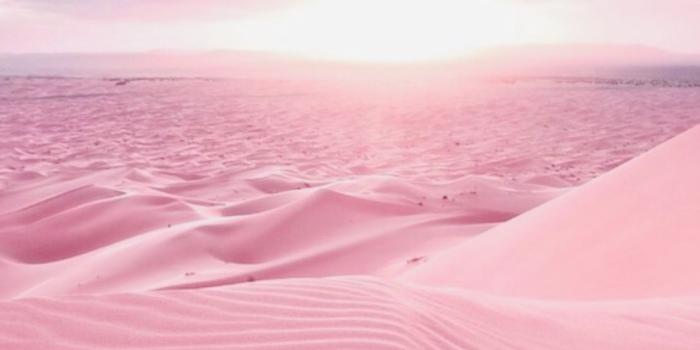 1125x1890 iPhone Wallpaper | Sand, Pink, Sky, Desert, Natural environment, Dune