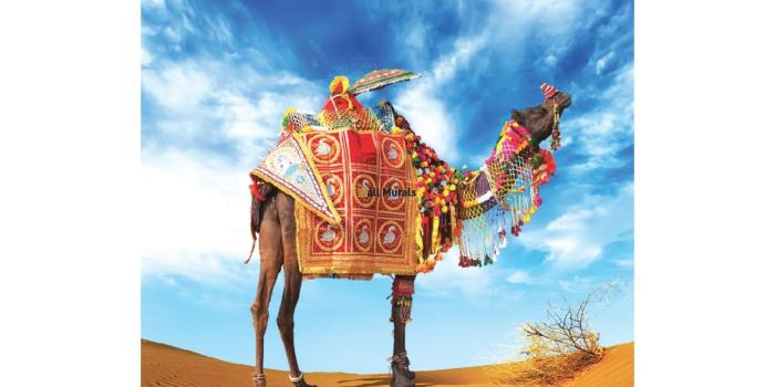 1200x800 Wallpapers colorful camel in the desert