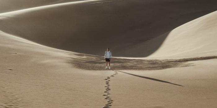1000x1500 Footsteps In The Sand Pictures | Download Free Images on Unsplash