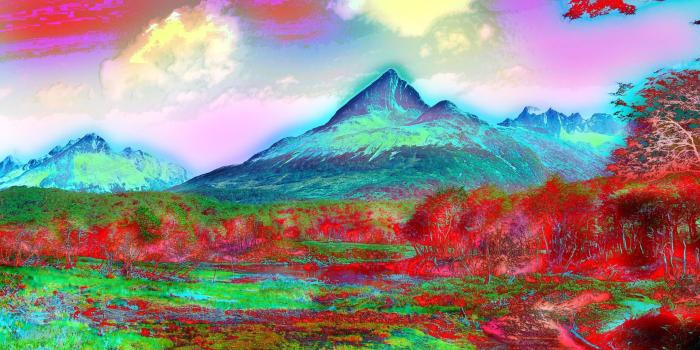 2560x1440 67+ Trippy Lsd Wallpapers on WallpaperPlay