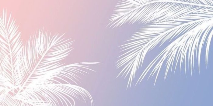 721x1280 iPhone wallpapers rose gold - image #5000050 on Favim.com