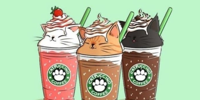 720x1280 cats pets cute | Starbucks wallpaper, Cute wallpapers, Cartoon