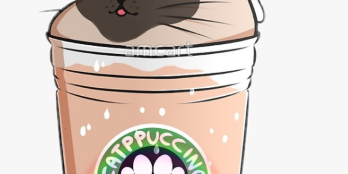 920x1355 cat #kawaii #catkawaii #starbucks #kawaiistarbuks - Kawaii