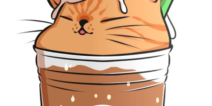 1080x1920 Wallpaper Starbucks Cute Drawings