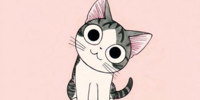 1080x1920 Cute Rose Gold Starbucks Wallpaper Home Screen in 2020 | Cute cat