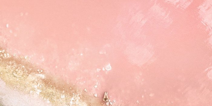 1242x2208 Rose Gold iPhone Wallpapers - Top Free Rose Gold iPhone