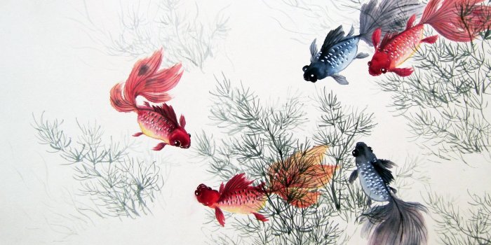2560x1440 2560x1600 Chinese Painting, Fish, Fish Chinese Painting Wallpapers