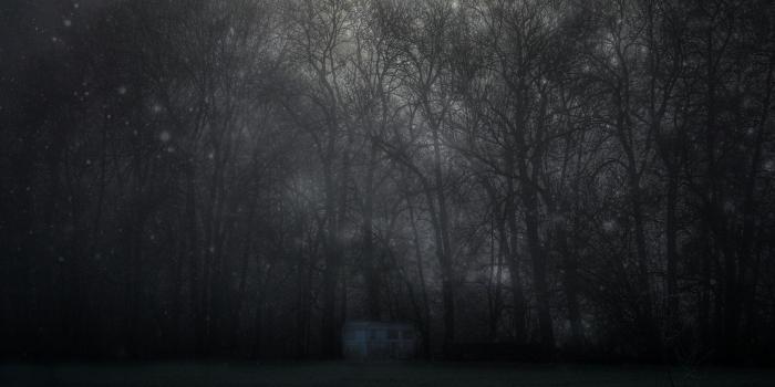 2560x1440 Download wallpaper 2560x1440 forest, mystical, fog, trees, night